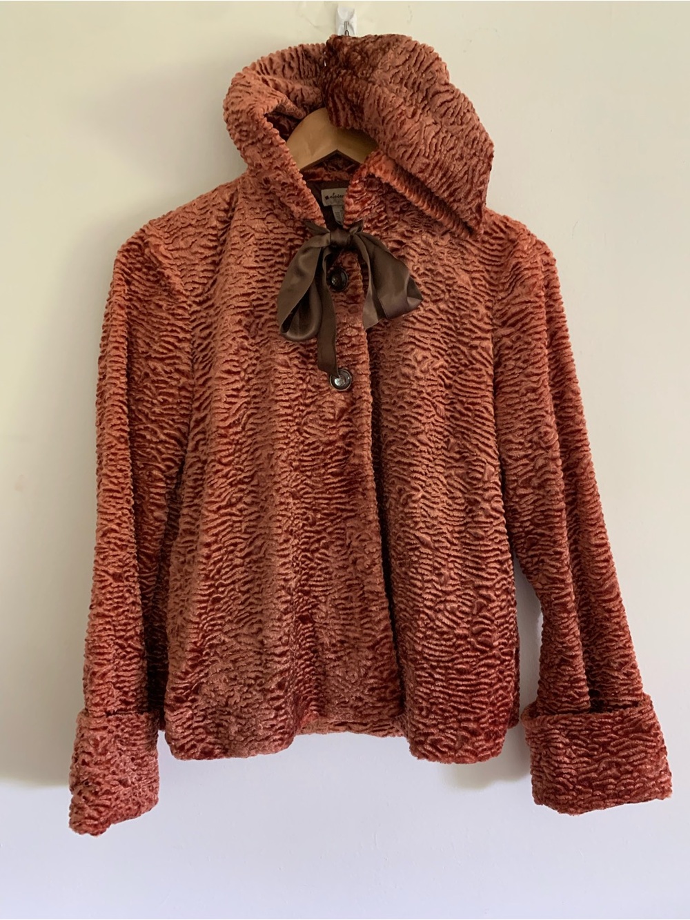 Elevenses Anthropologie Crushed Velvet Curly Rust Bronze Hooded Swing Jacket, 6